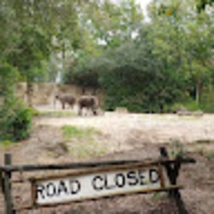 Meet your Posher, Frankie